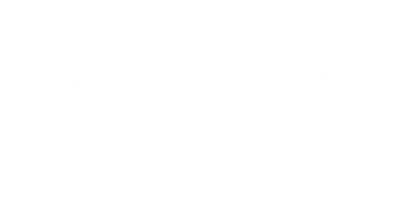 Logo for Premium Entertainment